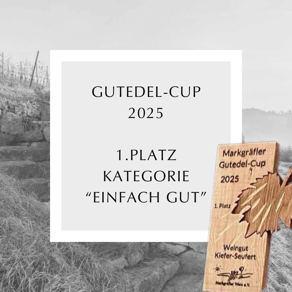Gutedel_Cup_25